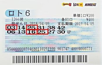 Japan Loto 6 Ticket