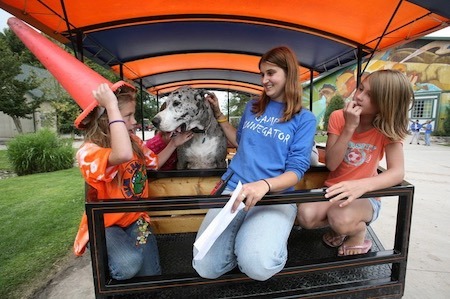 Les Robins' Camp Winnegator Counsellor with Kids and Dog