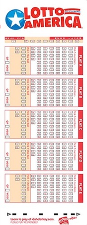 Lotto America Lottery Play Slip Ticket