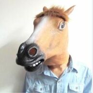 Mr Money Horse Mask Costume