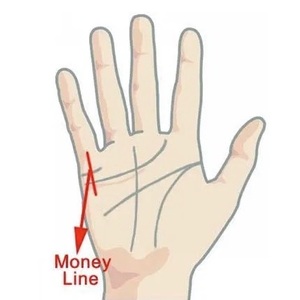 Palmistry Money Line